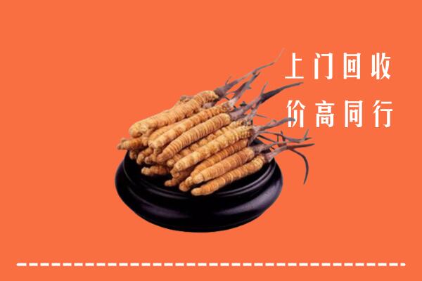 高价求购：爱辉区回收散虫草