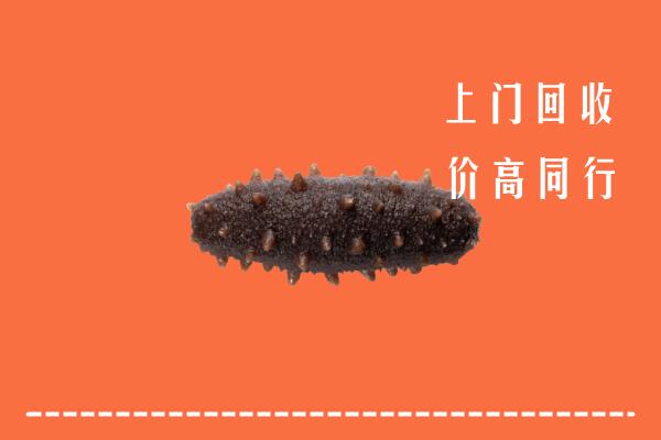 高价求购：爱辉区回收海参