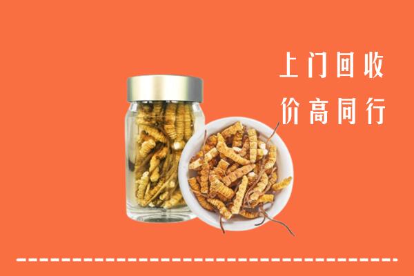 爱辉区回收冬虫夏草
